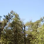 6 Person In Oksbol-by Traum Holiday home *