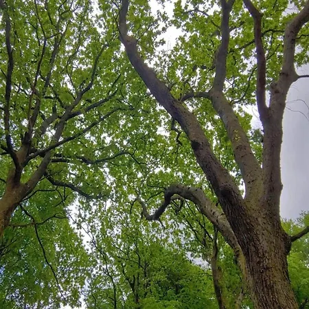 6 Person In Oksbol-by Traum Casa de Férias *