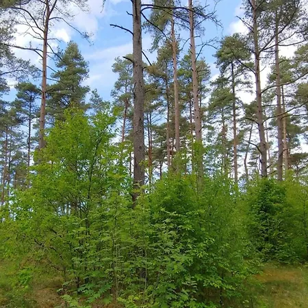 6 Person In Oksbol-by Traum Casa de Férias *