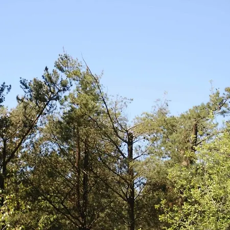 6 Person In Oksbol-by Traum Casa de Férias *